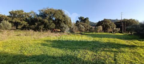 Terreno rustico de 7.320m2 em cabanas, palmela