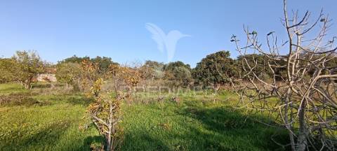 Terreno rustico de 7.320m2 em cabanas, palmela