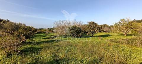 Terreno rustico de 7.320m2 em cabanas, palmela