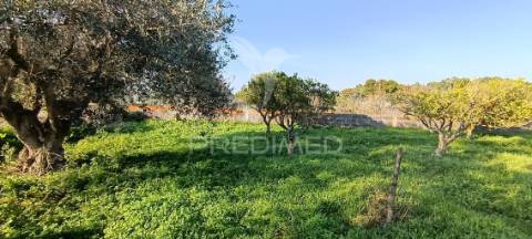 Terreno rustico de 7.320m2 em cabanas, palmela