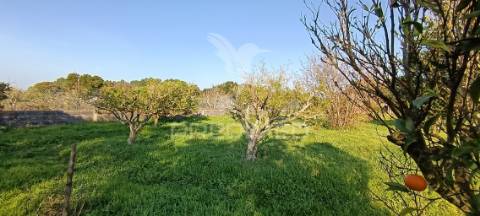 Terreno rustico de 7.320m2 em cabanas, palmela