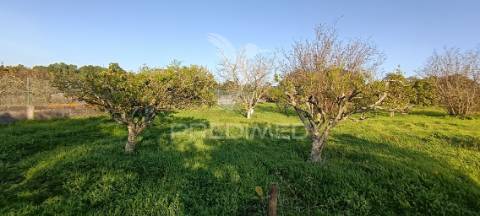 Terreno rustico de 7.320m2 em cabanas, palmela