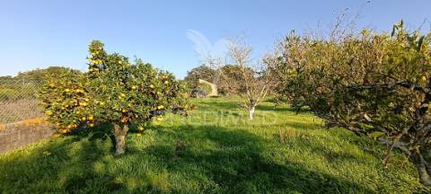 Terreno rustico de 7.320m2 em cabanas, palmela