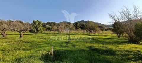 Terreno rustico de 7.320m2 em cabanas, palmela