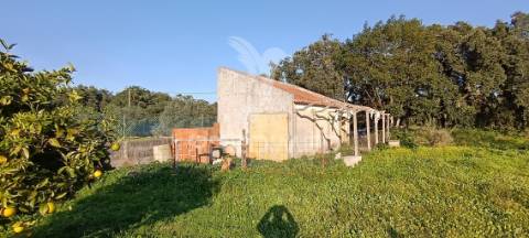 Terreno rustico de 7.320m2 em cabanas, palmela