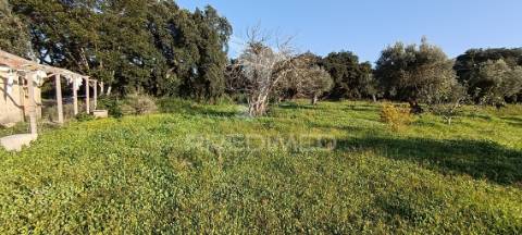 Terreno rustico de 7.320m2 em cabanas, palmela