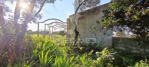 Terreno rustico de 7.320m2 em cabanas, palmela