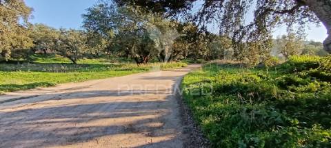 Terreno rustico de 7.320m2 em cabanas, palmela