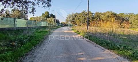 Terreno rustico de 7.320m2 em cabanas, palmela