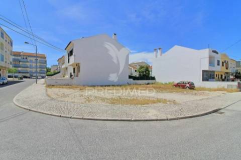 Terreno, moita, vale da amoreira