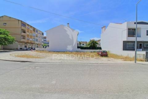 Terreno, moita, vale da amoreira