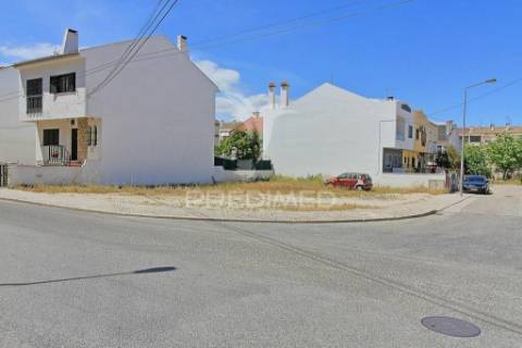 Terreno, moita, vale da amoreira