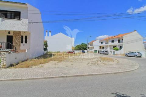 Terreno, moita, vale da amoreira