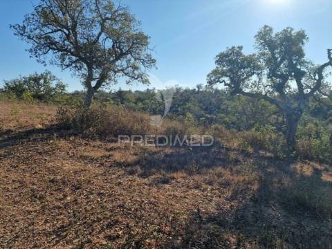 Monte outeiros dos mestres em santiago do cacém