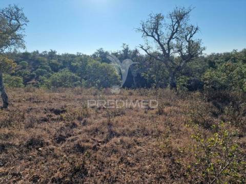 Monte outeiros dos mestres em santiago do cacém