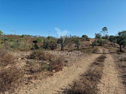 Monte outeiros dos mestres em santiago do cacém