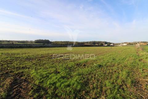 Terreno para 4 moradias em gião, vila do conde