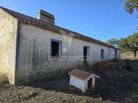 Monte no litoral alentejano com casa para recuperar