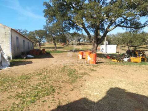 Monte no litoral alentejano com casa para recuperar
