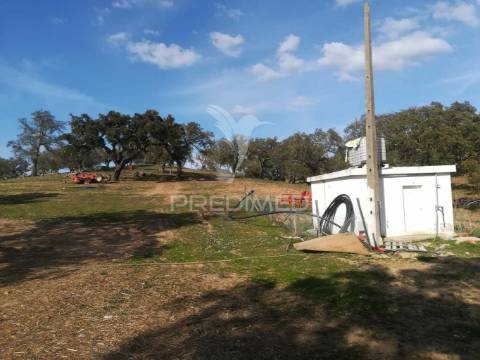 Monte no litoral alentejano com casa para recuperar