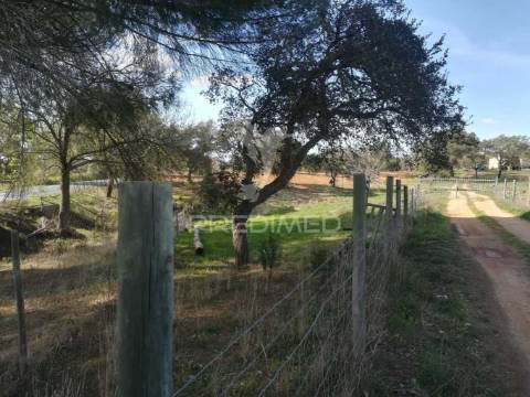 Monte no litoral alentejano com casa para recuperar