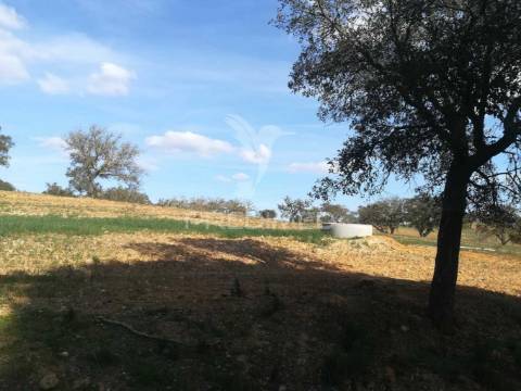 Monte no litoral alentejano com casa para recuperar