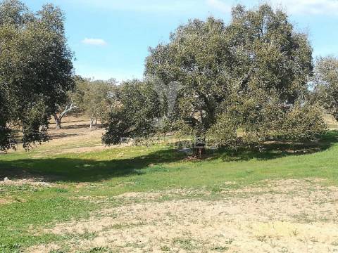 Monte no litoral alentejano com casa para recuperar