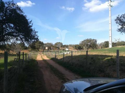 Monte no litoral alentejano com casa para recuperar