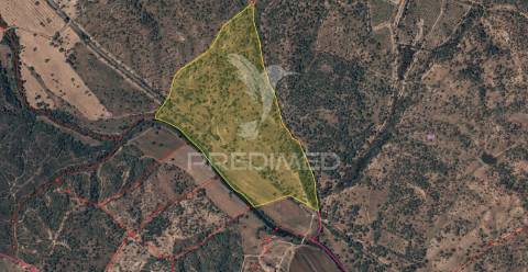 Monte no litoral alentejano com casa para recuperar