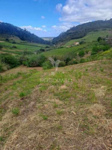 Terreno rústico c/ 7080m2  - cadaval