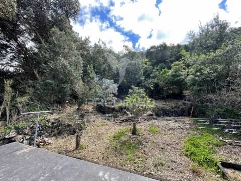 Casa de campo, fajã do ouvidor