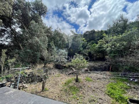 Casa de campo, fajã do ouvidor