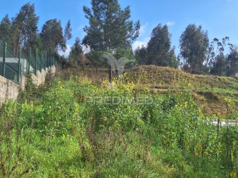 Terreno rústico com parcela urbana, casal sentista, torres novas