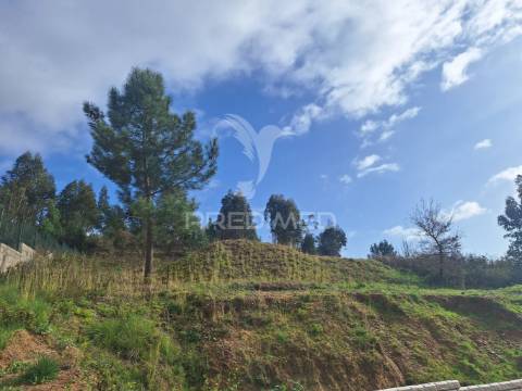 Terreno rústico com parcela urbana, casal sentista, torres novas
