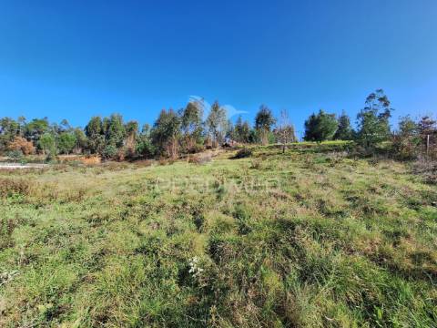 Terreno rústico com parcela urbana, casal sentista, torres novas