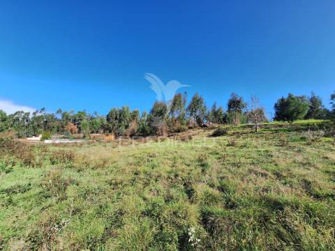 Terreno rústico com parcela urbana, casal sentista, torres novas