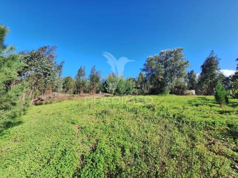 Terreno rústico com parcela urbana, casal sentista, torres novas