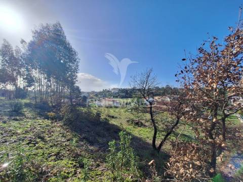 Terreno rústico com parcela urbana, casal sentista, torres novas