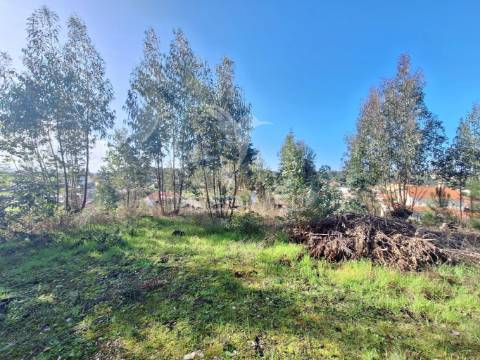 Terreno rústico com parcela urbana, casal sentista, torres novas