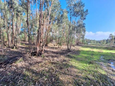 Terreno rústico com parcela urbana, casal sentista, torres novas