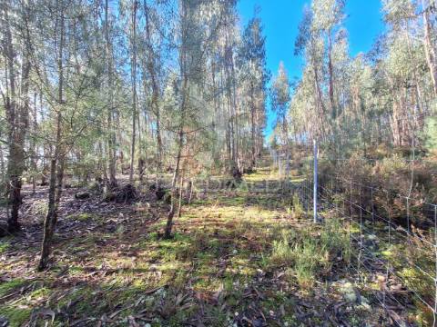 Terreno rústico com parcela urbana, casal sentista, torres novas