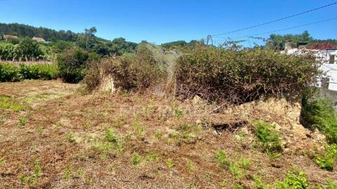 Ruina com terreno rio maior - abuxanas