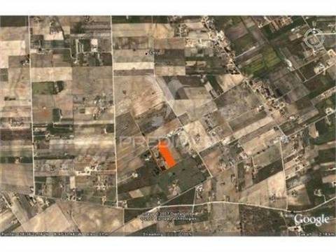 Reservado quinta nas lagameças, com viabilidade de construção de 2 moradias 690m2