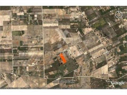 Reservado quinta nas lagameças, com viabilidade de construção de 2 moradias 690m2