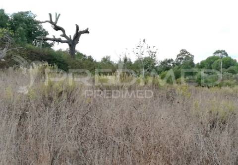 S. bartolomeu de messines. terreno com uma ruína