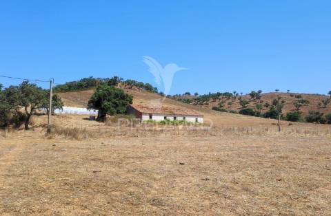 Herdade com 36,9000 ha a 3 km do pego das pias