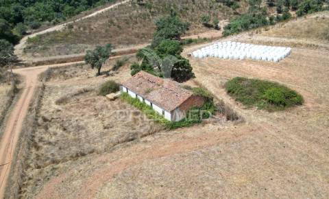 Herdade com 36,9000 ha a 3 km do pego das pias