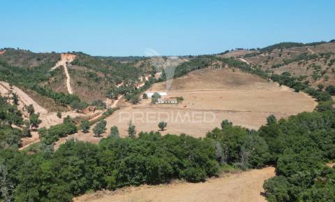 Herdade com 36,9000 ha a 3 km do pego das pias