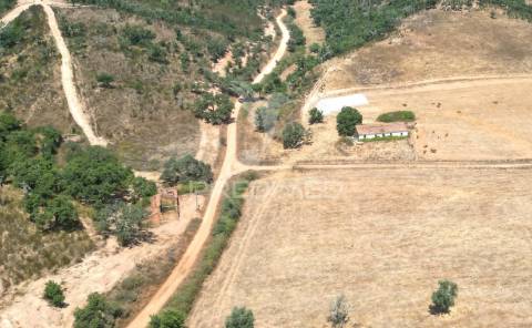 Herdade com 36,9000 ha a 3 km do pego das pias