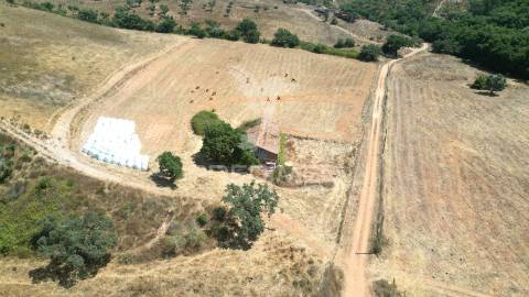 Herdade com 36,9000 ha a 3 km do pego das pias